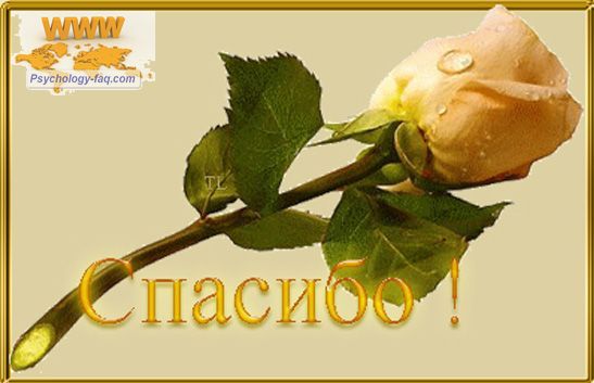 Стоит ли бояться Смерти Стоит ли бояться Смерти