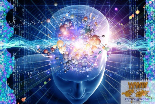 Интеллект