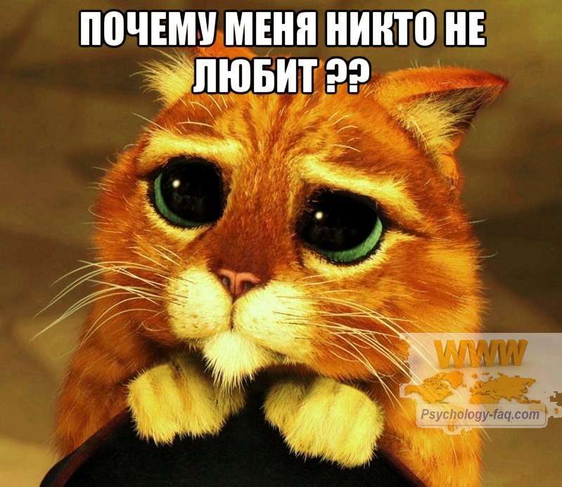 Почему меня никто не любит