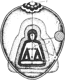 Энергетика человека