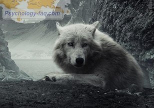 Что такое самость