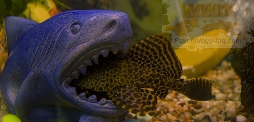Я не хочу быть жертвой